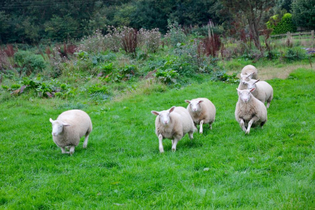 Frühstückspension Barton Gate Farm