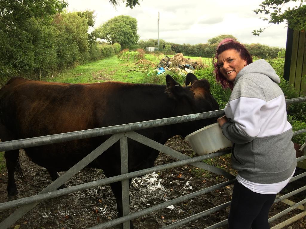 Barton Gate Farm Bude