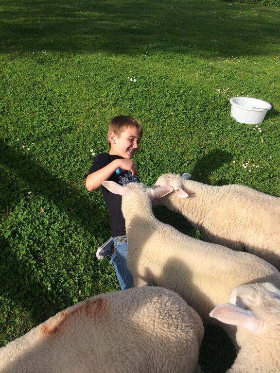 Barton Gate Farm Bude