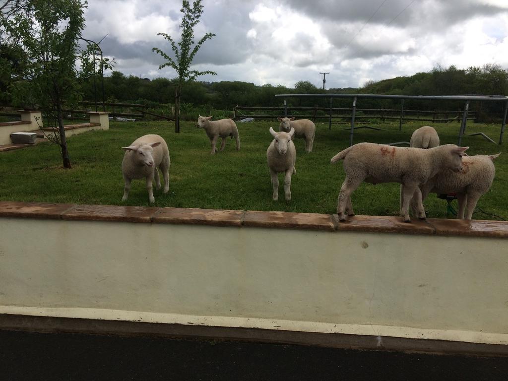 Barton Gate Farm